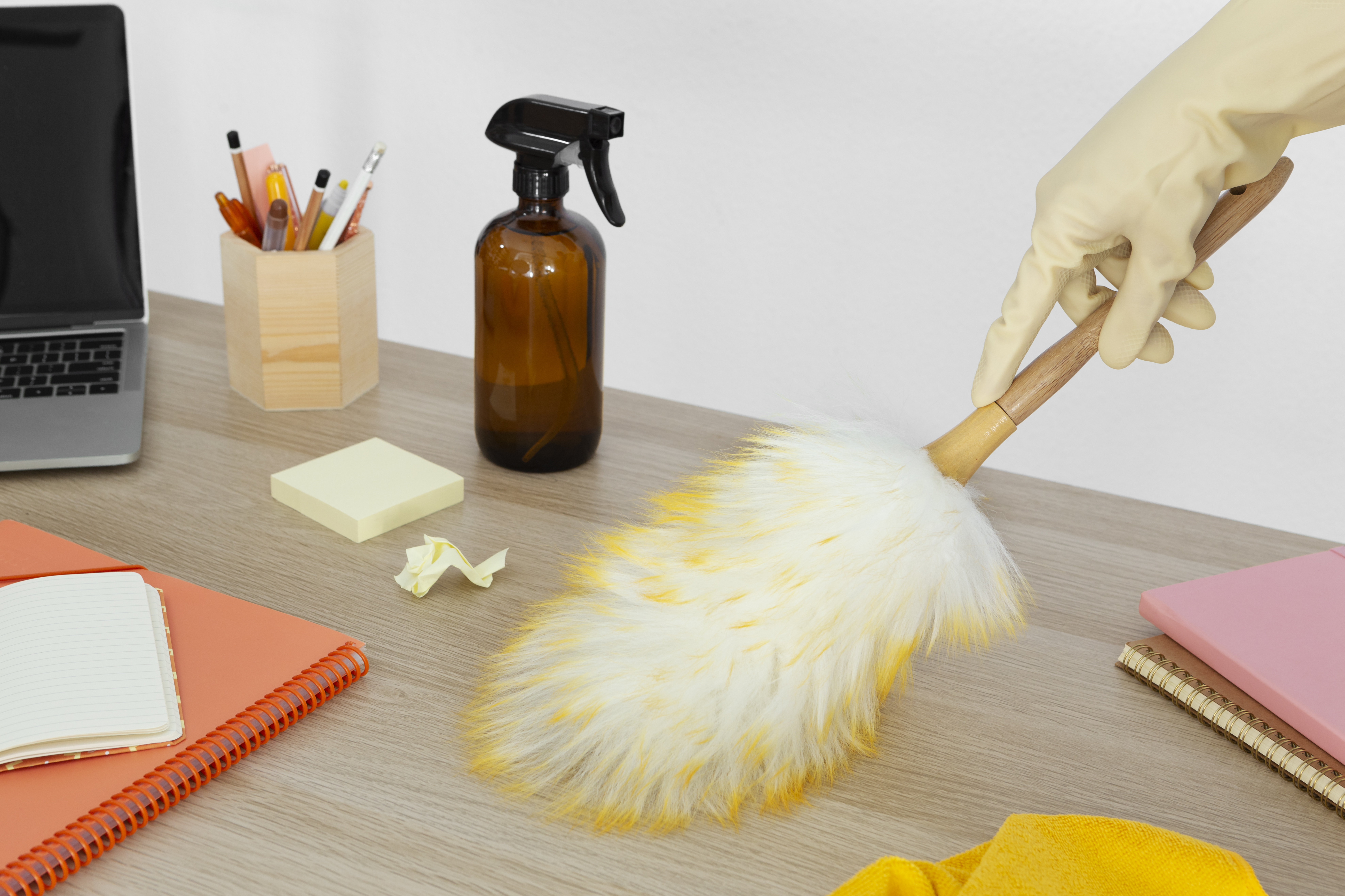 Shine and Stay cleaning team